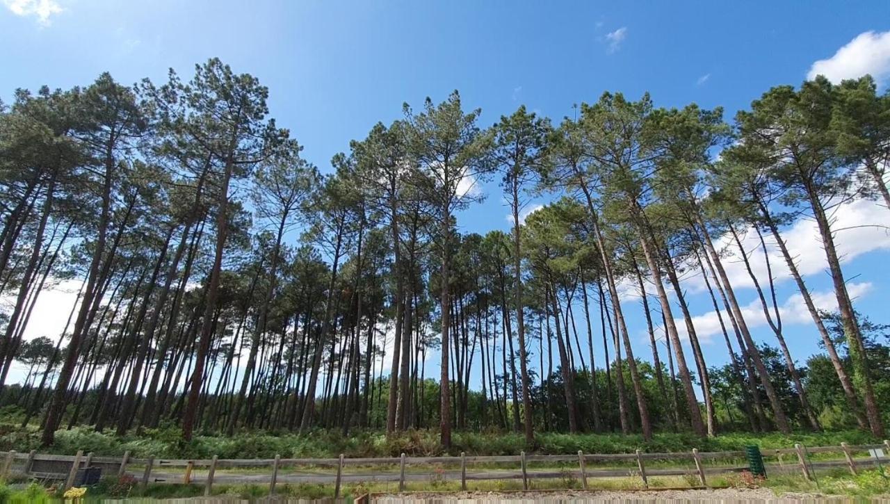 Maison Gemme A Landes Léon Exteriér fotografie
